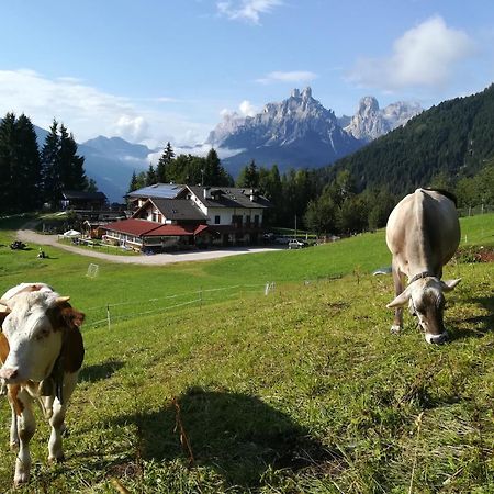 Вилла Agritur Le Vale Фьера-ди-Примьеро Экстерьер фото